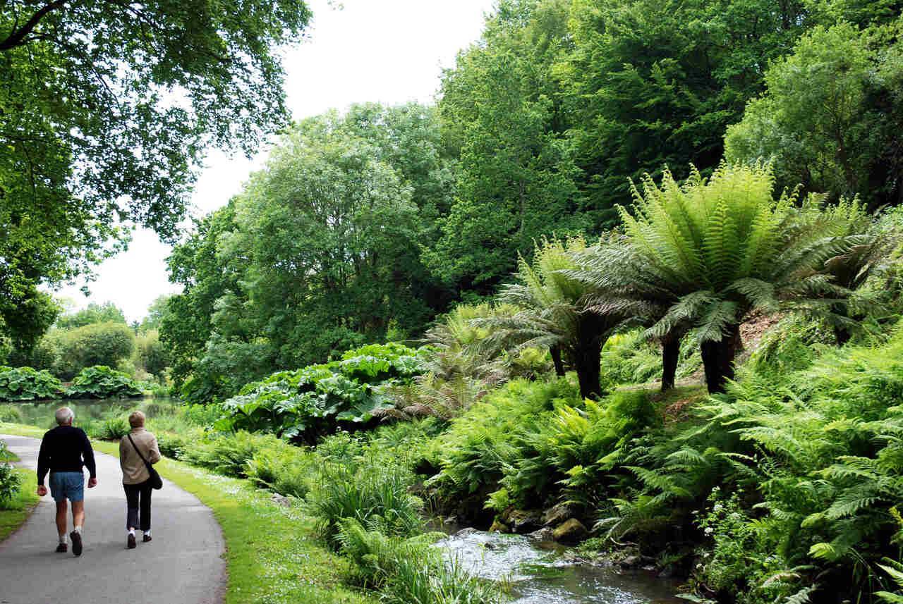 Garden of the Botanical Conservatory