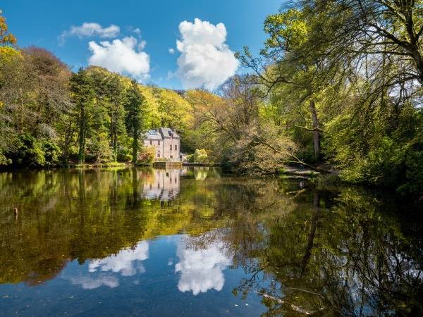 Le Bois de Keroual à 20 min en voiture de l'hôtel